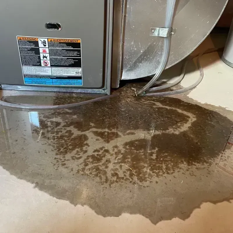 Appliance Leak Cleanup in Summers County, WV